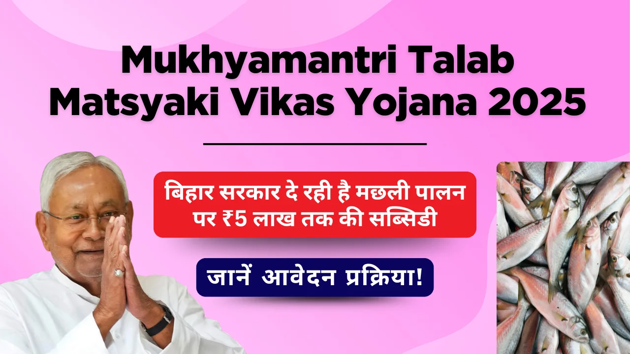 Mukhyamantri Talab Matsyaki Vikas Yojana 2025