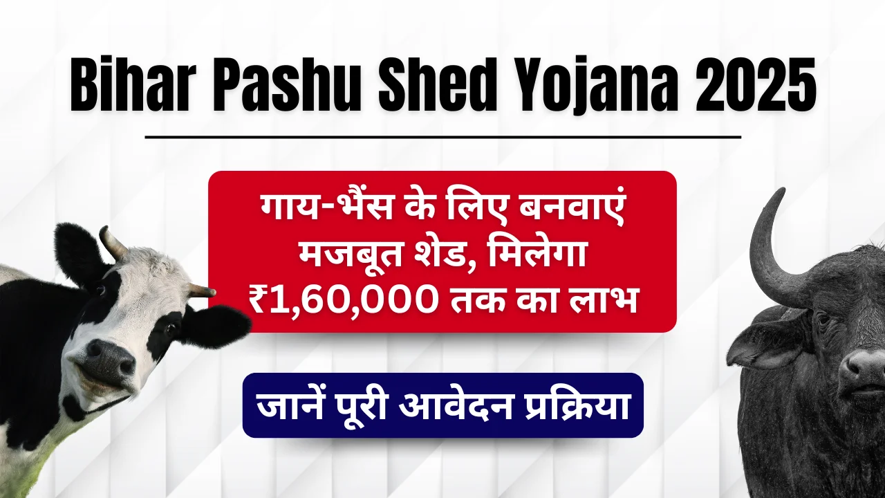 Bihar Pashu Shed Yojana 2025