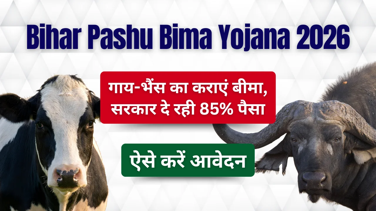 Bihar Pashu Bima Yojana 2026